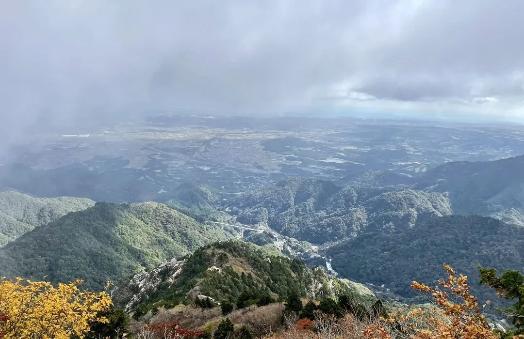 🏞️ 스즈카 플라워 파크 이미지 5